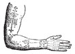 Tattoo on a human hand vintage engraving