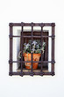 Photo: Flower-prisoner Flower-prisoner