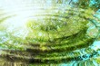 Reflection of forest and sun in water