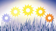 Phase Sun