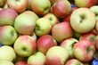Äpfel