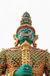 thai giant