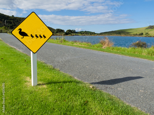 Photo: Roadsign warning, ducks with ducklings crossing Roadsign warning, ducks with ducklings crossing