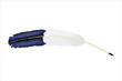 Vector: ink pen feather ink pen feather