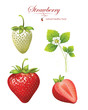 Vektor: beautiful strawberries. vector illustration of a realistic beautiful strawberries. vector illustration of a realistic