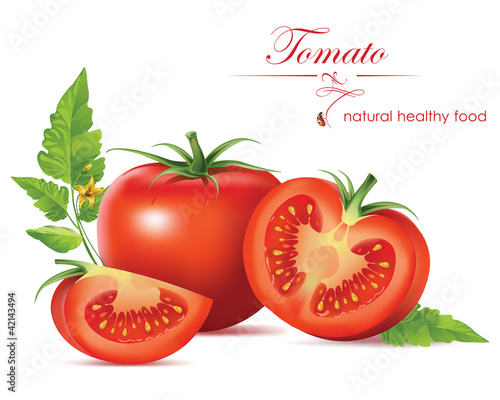 Vektor: Vector illustration. Tomatoes. Vector illustration. Tomatoes.
