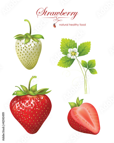 Vektor: beautiful strawberries. vector illustration of a realistic beautiful strawberries. vector illustration of a realistic