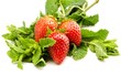 Fresas