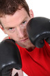 Male boxer