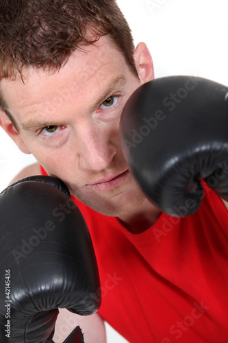 Photo: Male boxer Male boxer