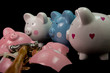 Photo: Broken Piggy Bank Broken Piggy Bank