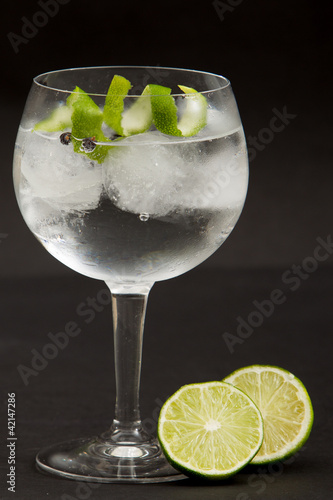 Photo: Gin tonic Gin tonic