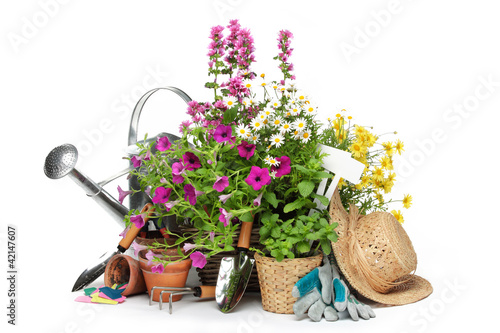 Photo: Gardening tools and flowers Gardening tools and flowers