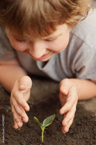 Photo: sprout in children hand sprout in children hand