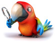 Fun parrot