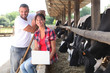 Farming couple stood by cows