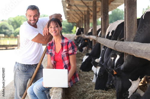 Foto: Farming couple stood by cows Farming couple stood by cows