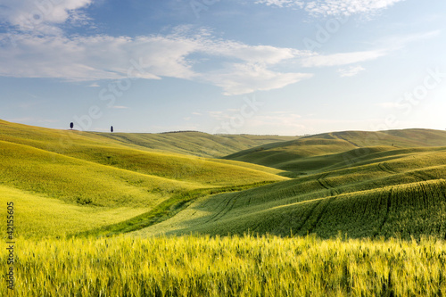 Photo: Wide views of Tuscany Wide views of Tuscany