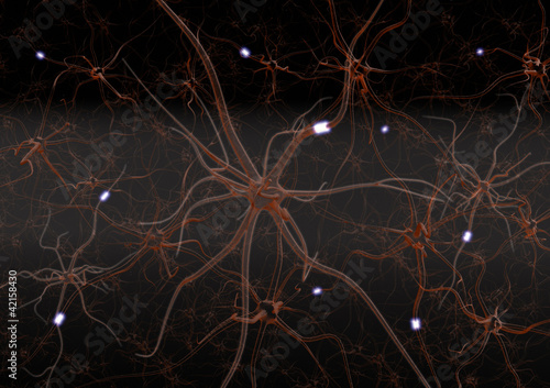 Illustration: Nervensystem Nervensystem