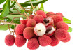 litchi