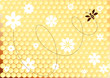 Vector: honeycomb honeycomb