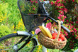 picknick auf dem fahrrad
