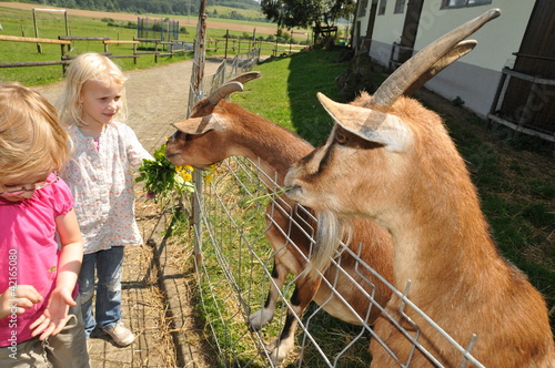 Photo: Ferien auf dem Bauernhof Ferien auf dem Bauernhof