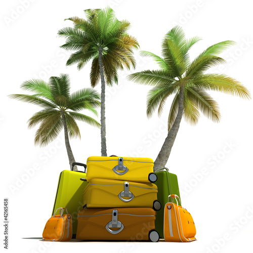 Illustration: Tropical trip and elegant luggage Tropical trip and elegant luggage