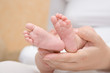 Photo: Newborn baby feet in mother's hands Newborn baby feet in mother's hands