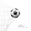 Soccer ball in net. isolated on white background, vector