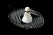 Badminton racket and shuttlecock