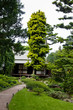 Foto: Albert Khan - japanese garden Albert Khan - japanese garden