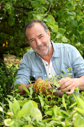 Foto: Senior man looking at plants in private garden Senior man looking at plants in private garden