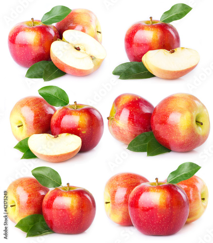 Foto: Fresh apples Fresh apples