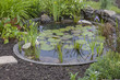 garden decoration in a cottage garden, pond with water-lily