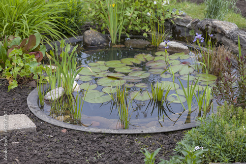 Photo: garden decoration in a cottage garden, pond with water-lily garden decoration in a cottage garden, pond with water-lily