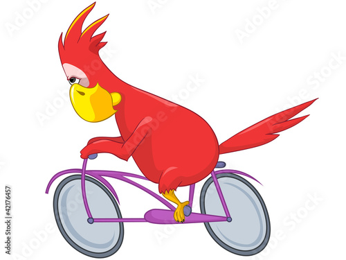 Vector: Funny Parrot. Biker. Funny Parrot. Biker.