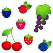 Vector: berries icon set berries icon set