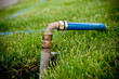 Hoes with leak