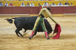 Toreando con la muleta por naturales.