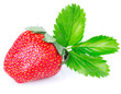 Fresh strawberry