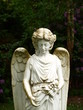 Engel