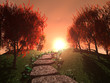Camino hacia el sol
