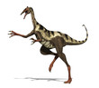 Pelicanimimus Dinosaur