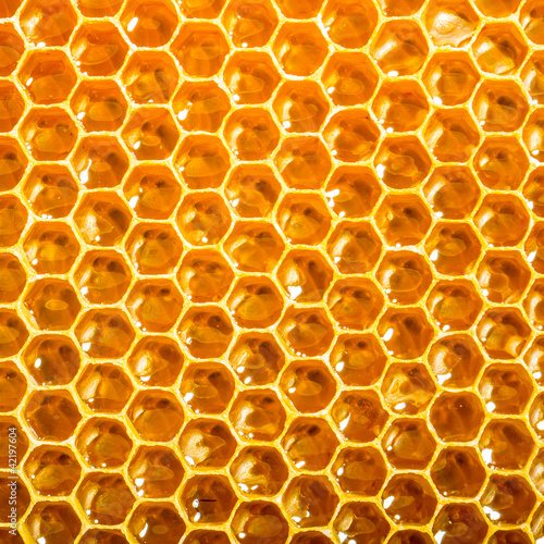 Photo: Close up view of honeycells. Close up view of honeycells.