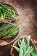Fresh herbs