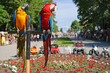 Two parrots ara on not in focus a green background