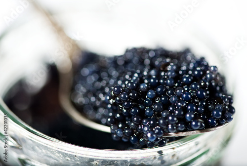 Photo: Black caviar Black caviar