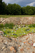 Pollution on meadow
