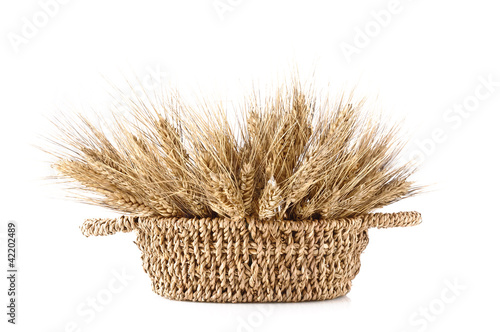 Foto: cestino di spighe di grano cestino di spighe di grano